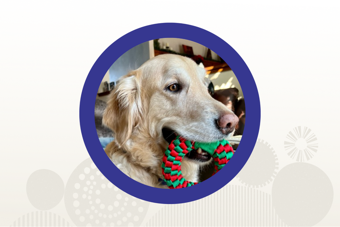 Featured Customer: Hank