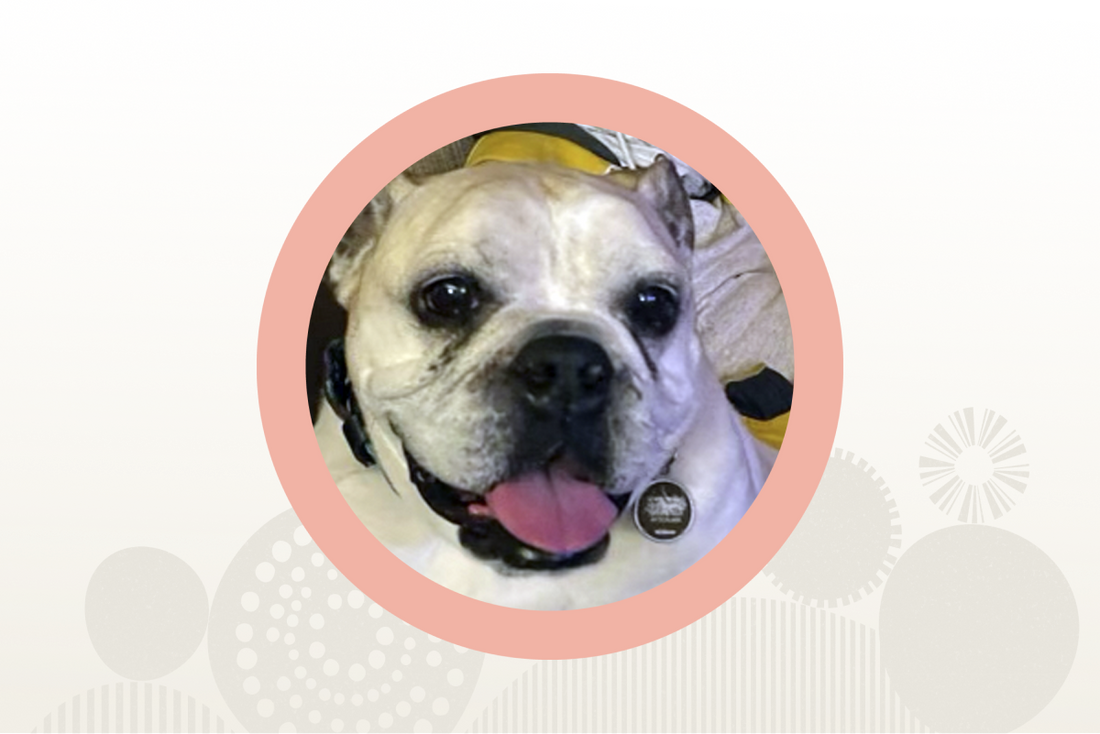 Featured Customer: Meet Vinny